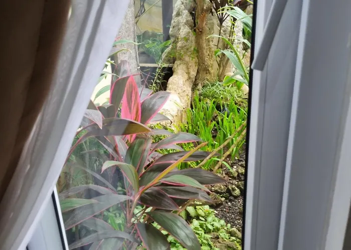 Glam Guest house 3*